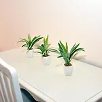 招待所 Kamen Kuca 珀德垂那